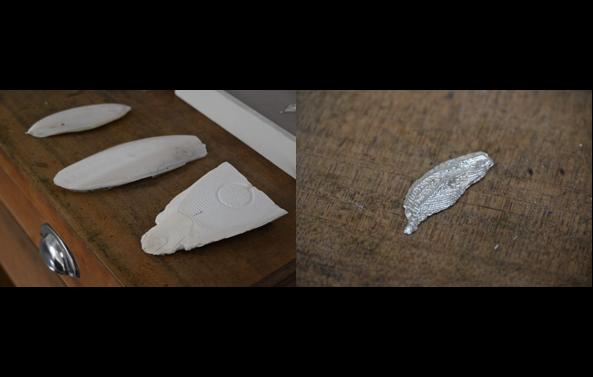 2026歡慶兒童節手作DIY體驗：海螵蛸-從海洋的痕跡，認識台灣 - 圖片