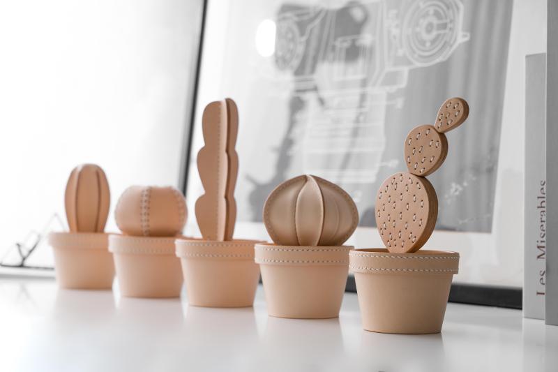 ”CACTACEAE”皮革仙人掌，共4張