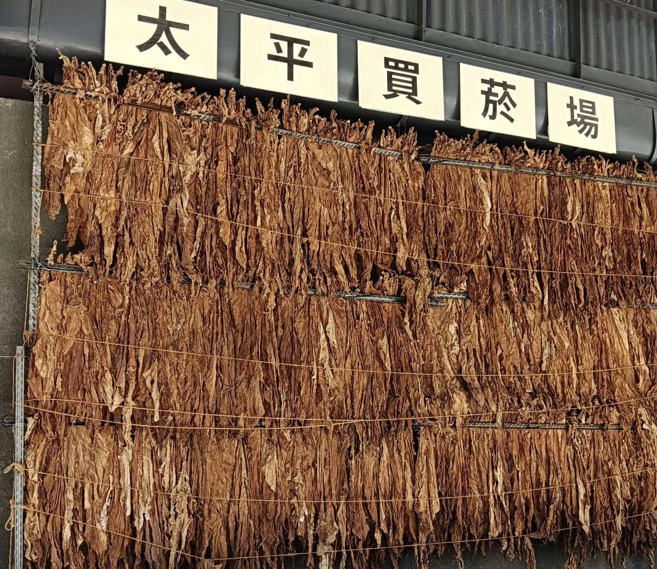 館內外陳列了過去收購鑑定菸葉的相關器具、歷史老照片以及晾乾的菸葉，重現昔日菸草交易的場景