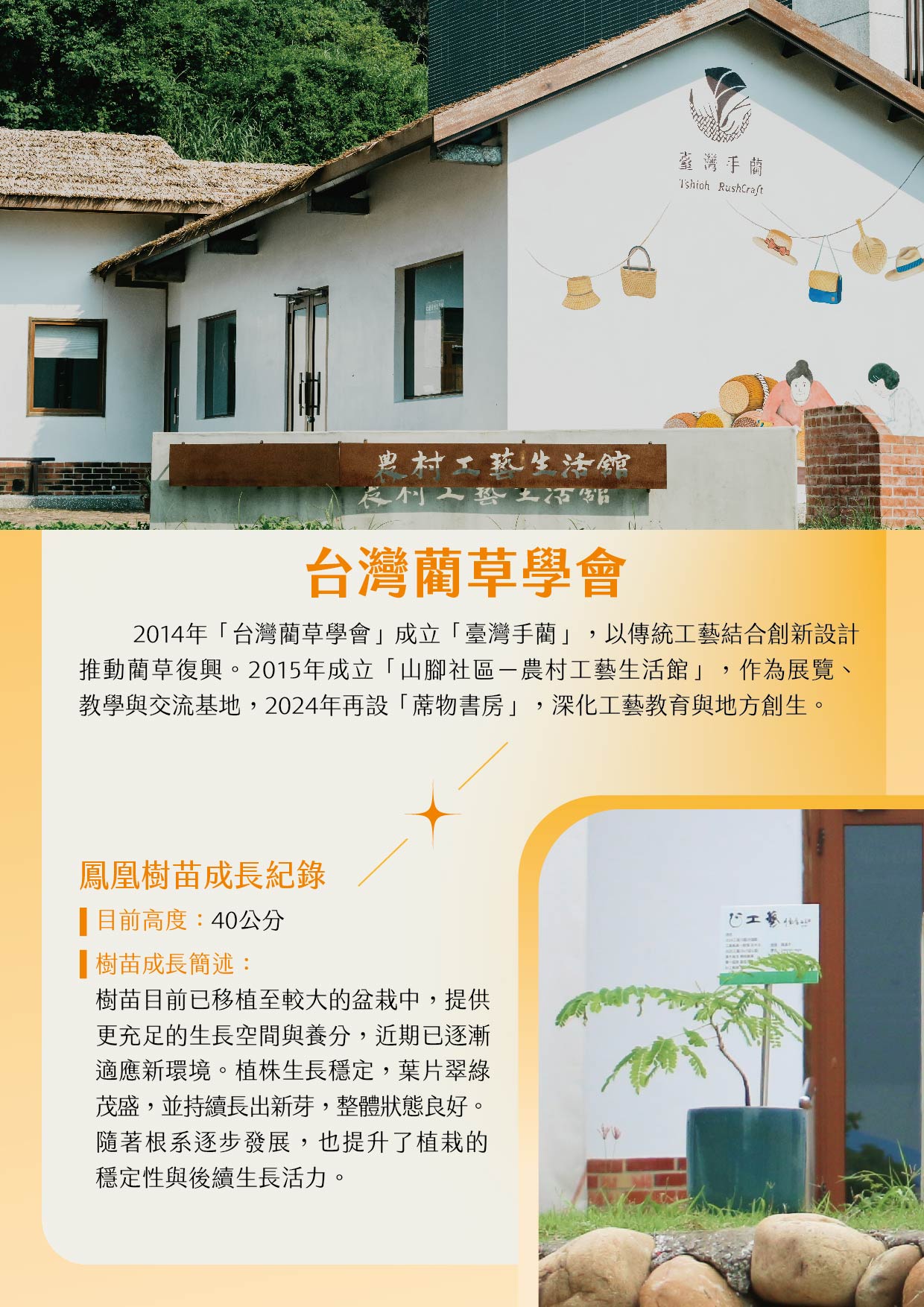 台灣藺草學會