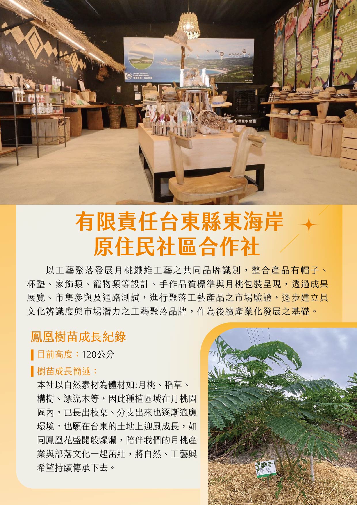 有限責任台東縣東海岸原住民社區合作社